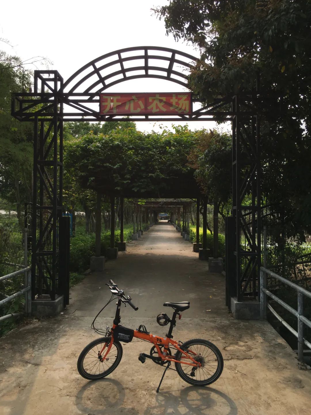 旭光车行雅迪电动车,旭光单车