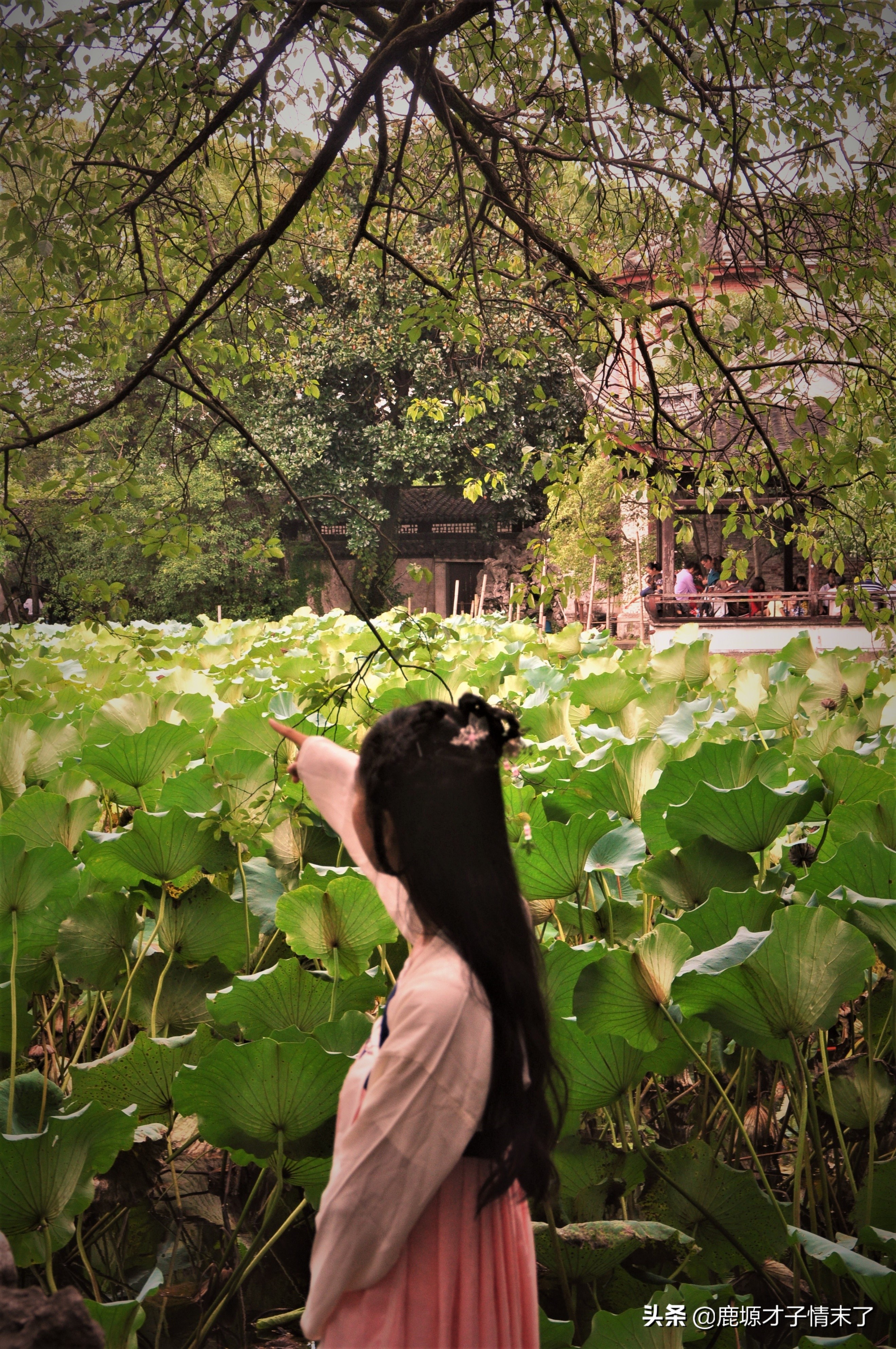 没有最美只有更美广西山水,醉美太湖和南浔古镇哪个好玩