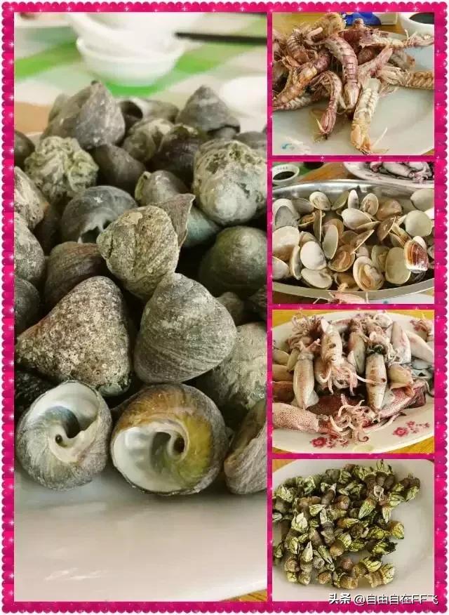 台山上川岛之旅,广东台山上川岛旅行日记