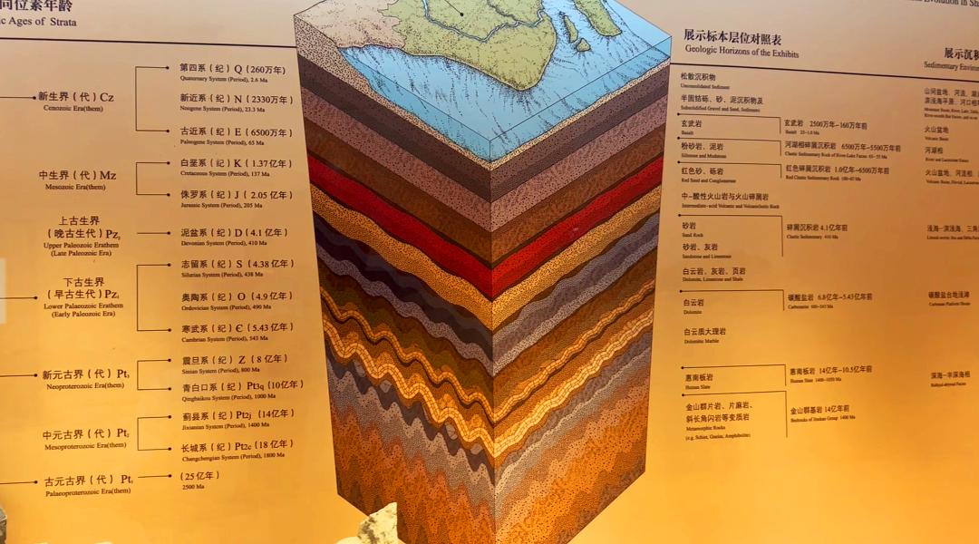 上海自然博物馆隐藏打卡,探秘上海隐秘地