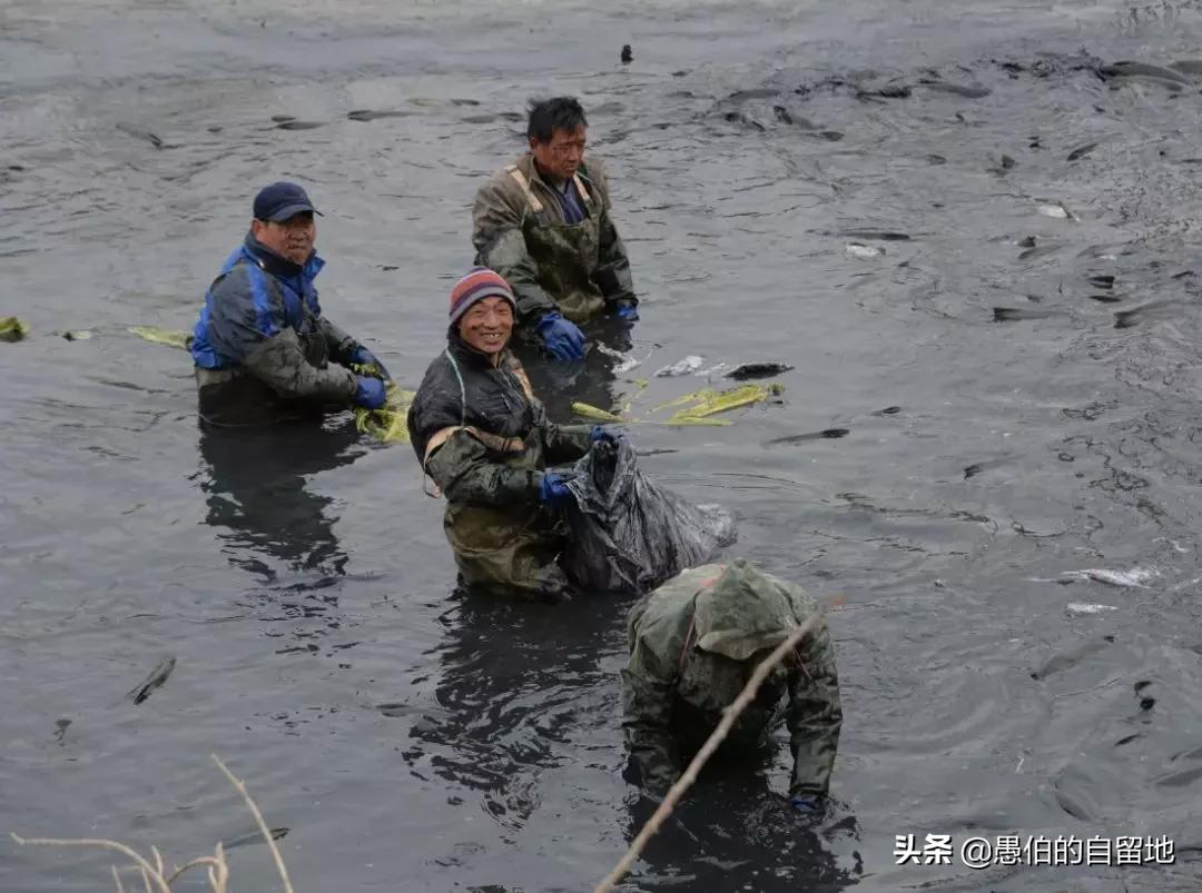 东北深山发现的怪物,真实洞穴里发现的怪物