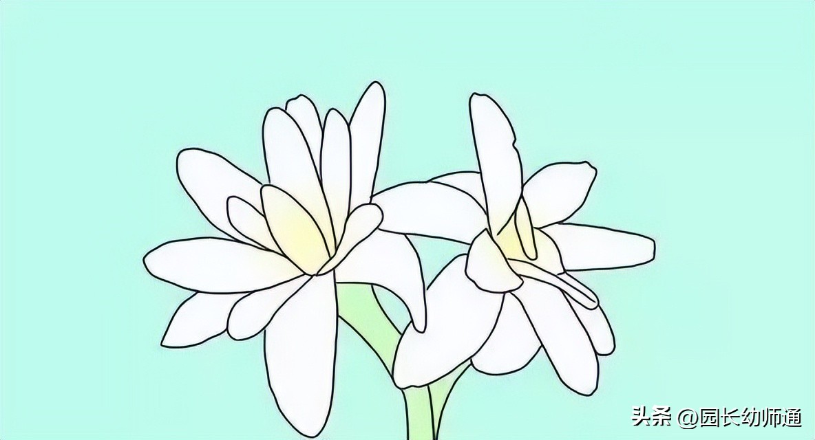 防蚊小妙招幼儿园图文,幼儿园防蚊小技巧