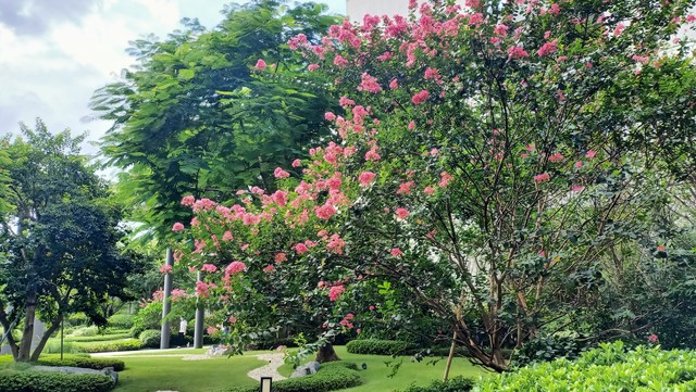 淡然一笑化茧为蝶,淡然一笑风吹而过