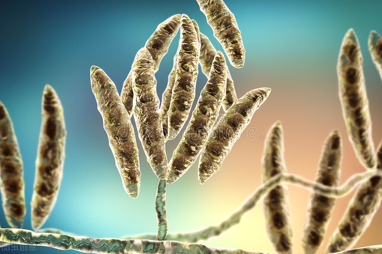 夜里饿了吃什么最简单减肥,半夜饿了吃什么更有助于减肥