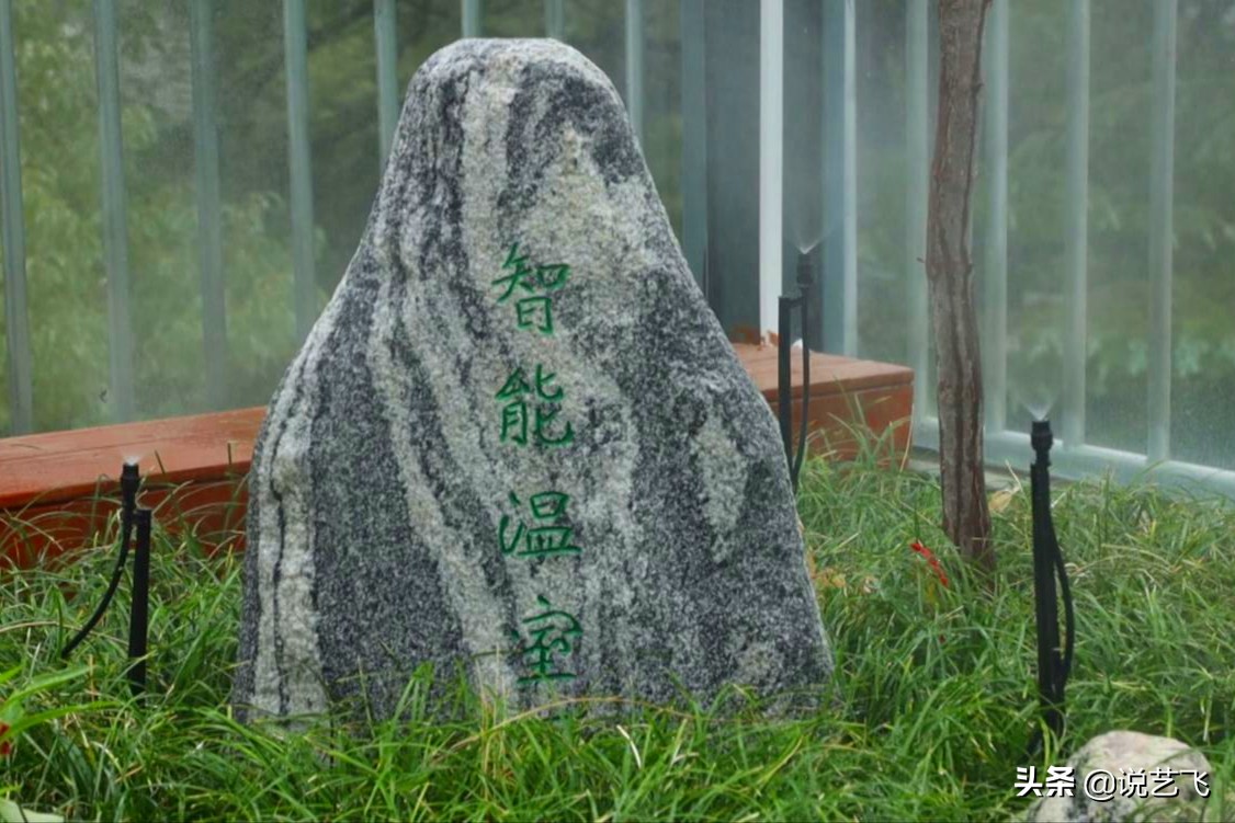 武汉水果湖教育基地,武汉水果湖一小学好吗