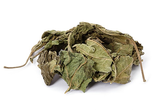 适合农村一年回本的药材,在山里什么药材容易找到又赚钱