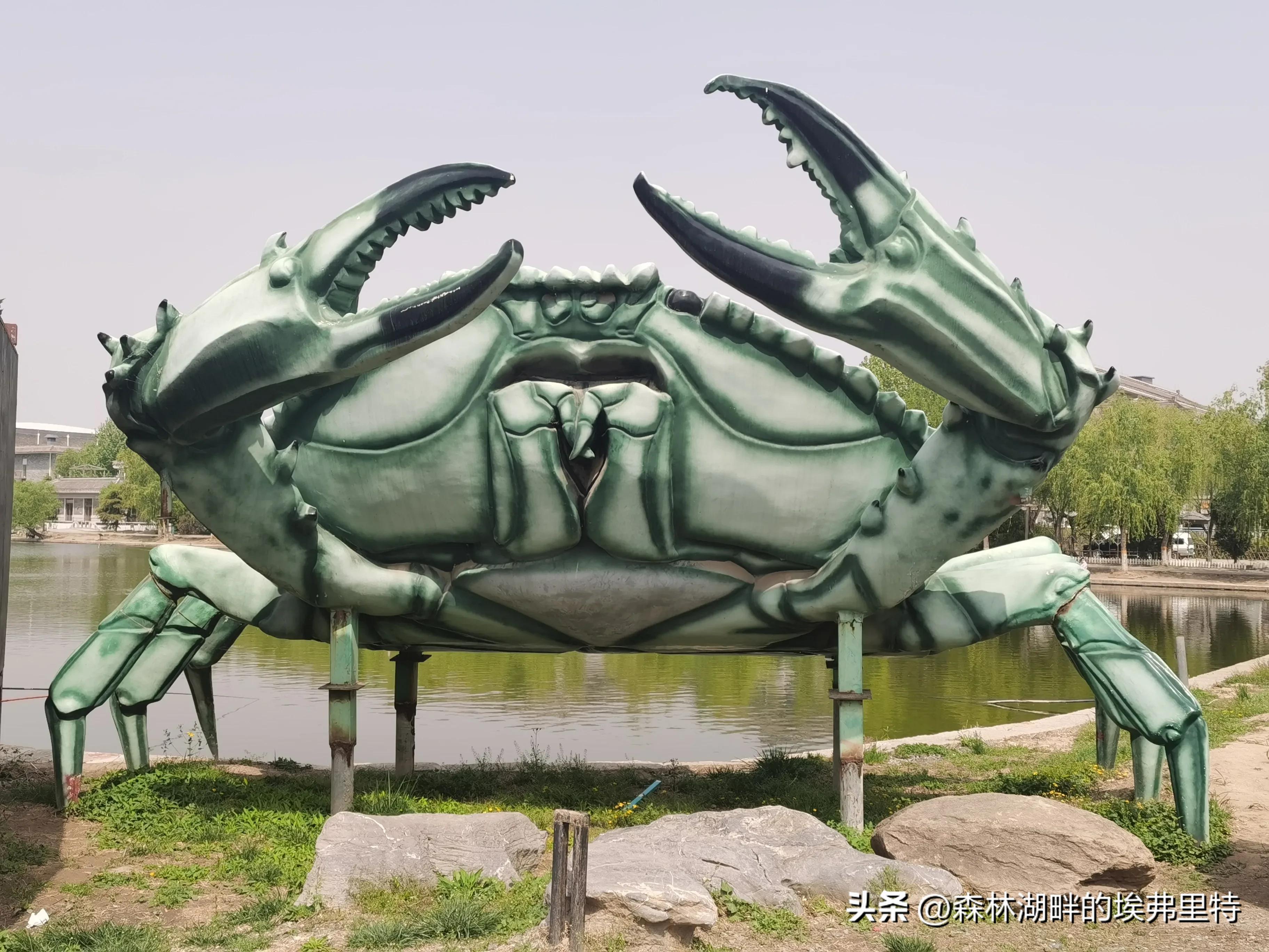 蟹岛度假村火灾,蟹岛度假村视频