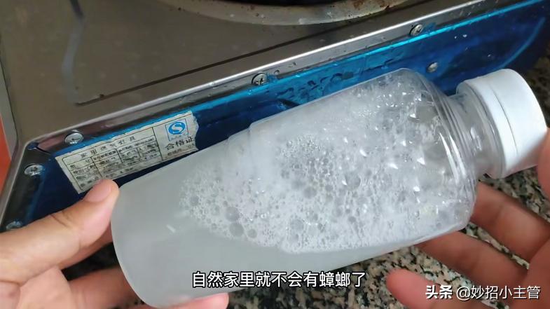 大蒜治疗蟑螂最好的方法,用大蒜怎样消除蟑螂和蜘蛛