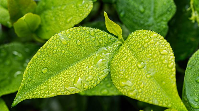 睡眠模式怎样定两个闹钟,睡眠状况可以设置2个闹钟吗