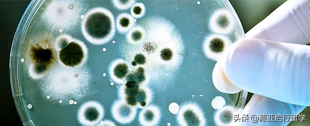 英属哥伦比亚大学硕士留学条件,英属哥伦比亚大学硕士条件