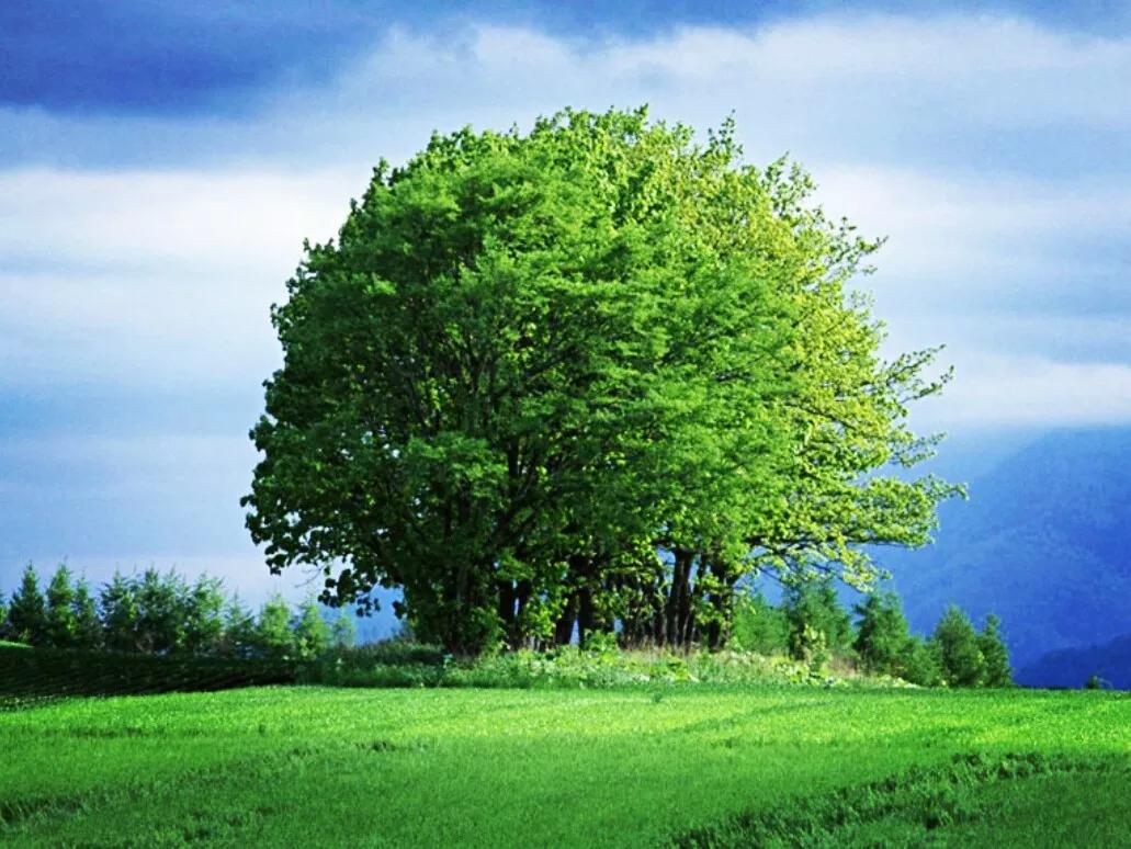 写一篇你的目光为题的作文600字,给你一双新的眼睛作文