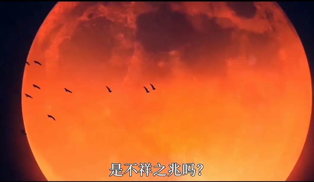 冥界之花真的可以起死回生吗,冥界之花彼岸花的故事