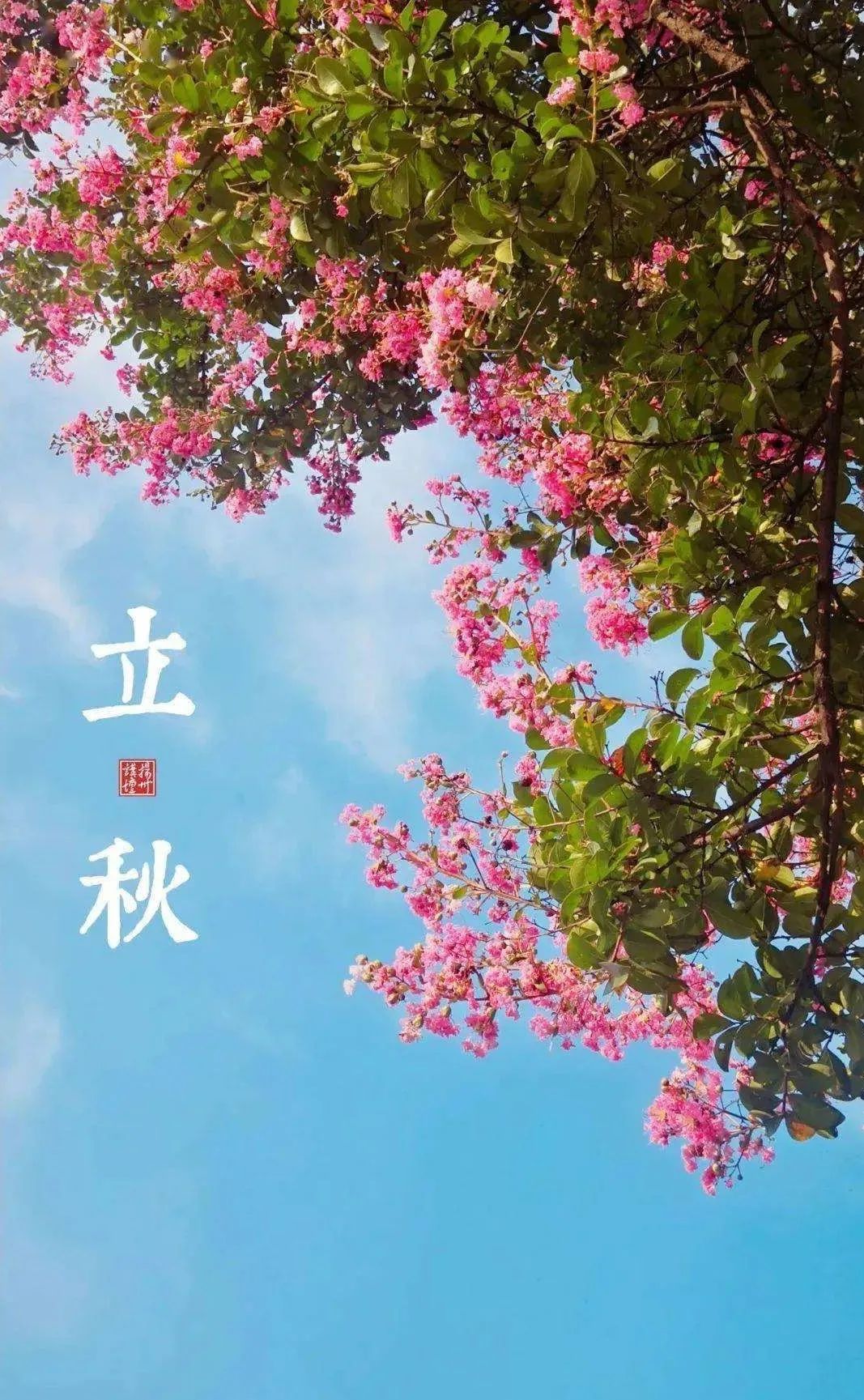 立秋的经典诗词,立秋最好的十首诗词