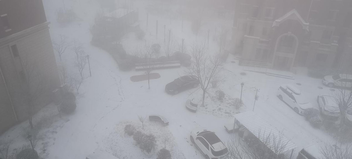 群诗：诗情物语春雪里（19首）