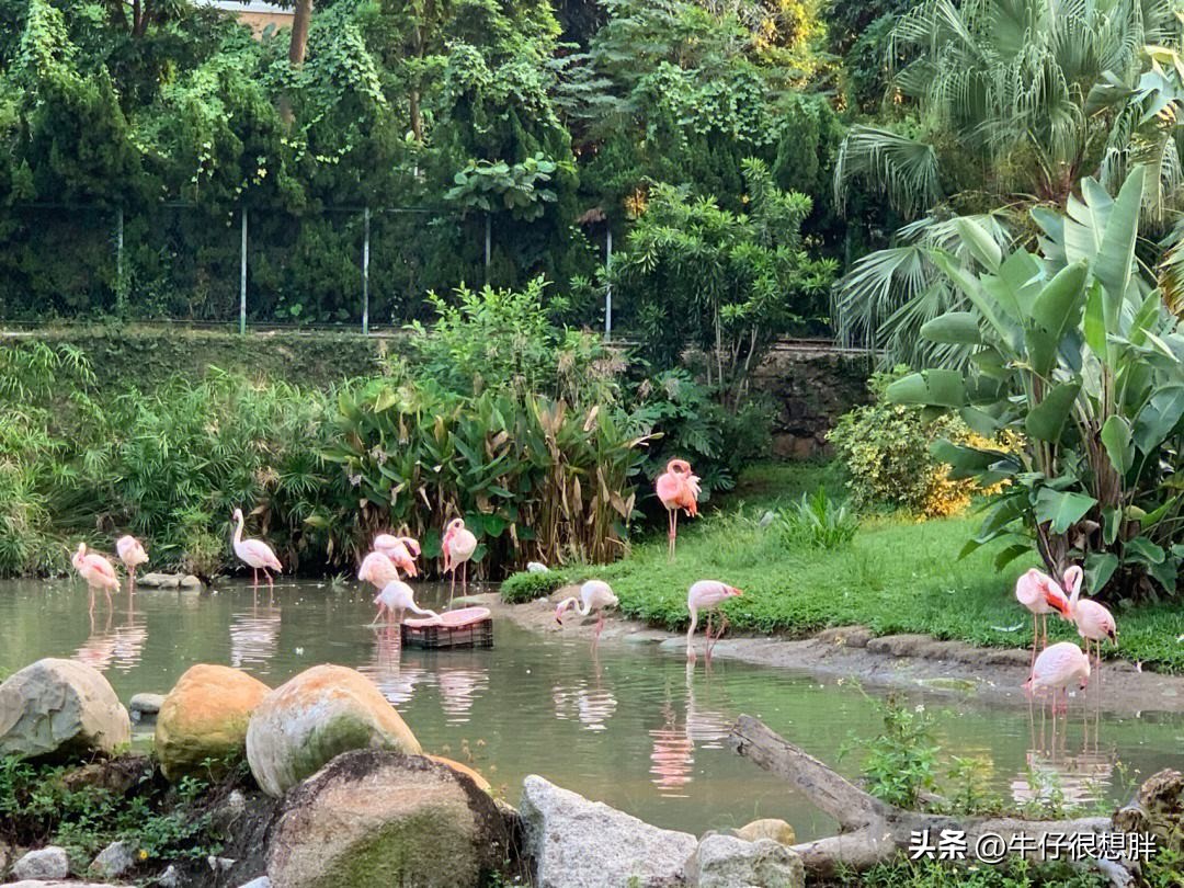 澳门遛娃5天自由行攻略,亲子游香港和澳门哪个更推荐