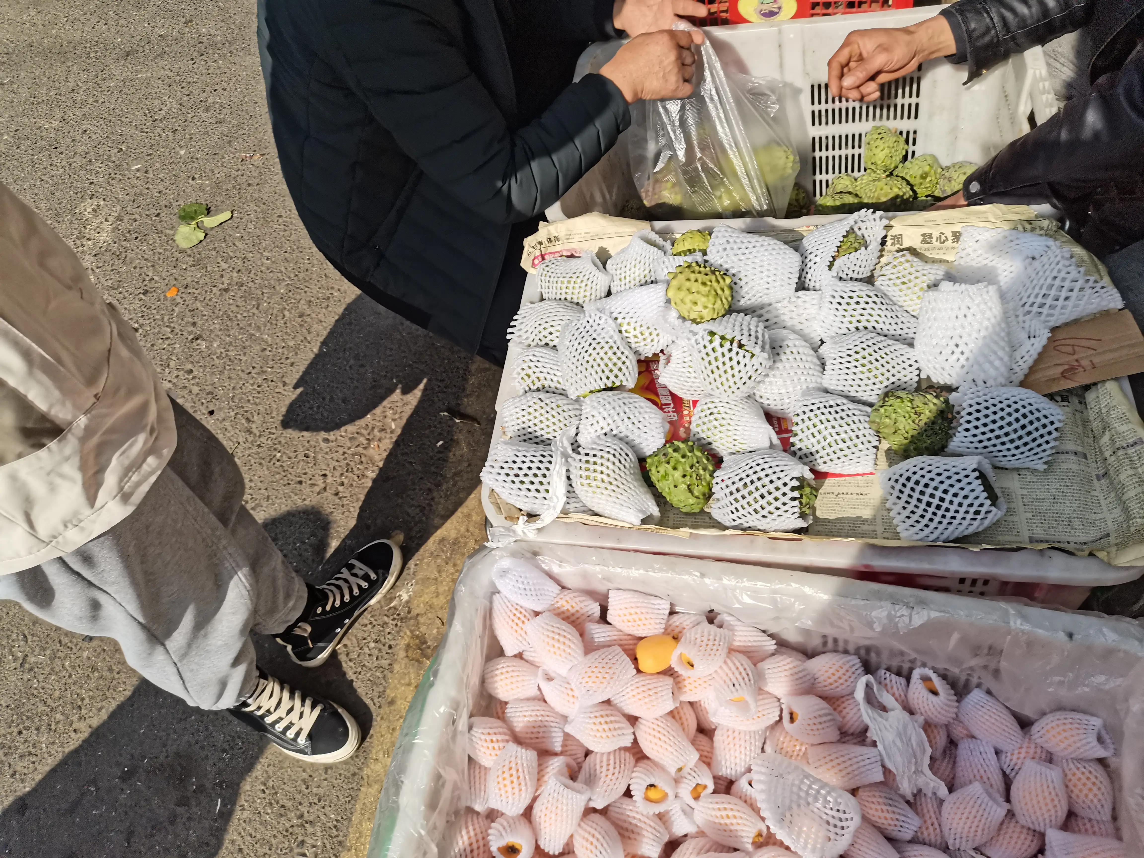 西安出发四川云南旅游攻略,西安出发7天自驾四川游