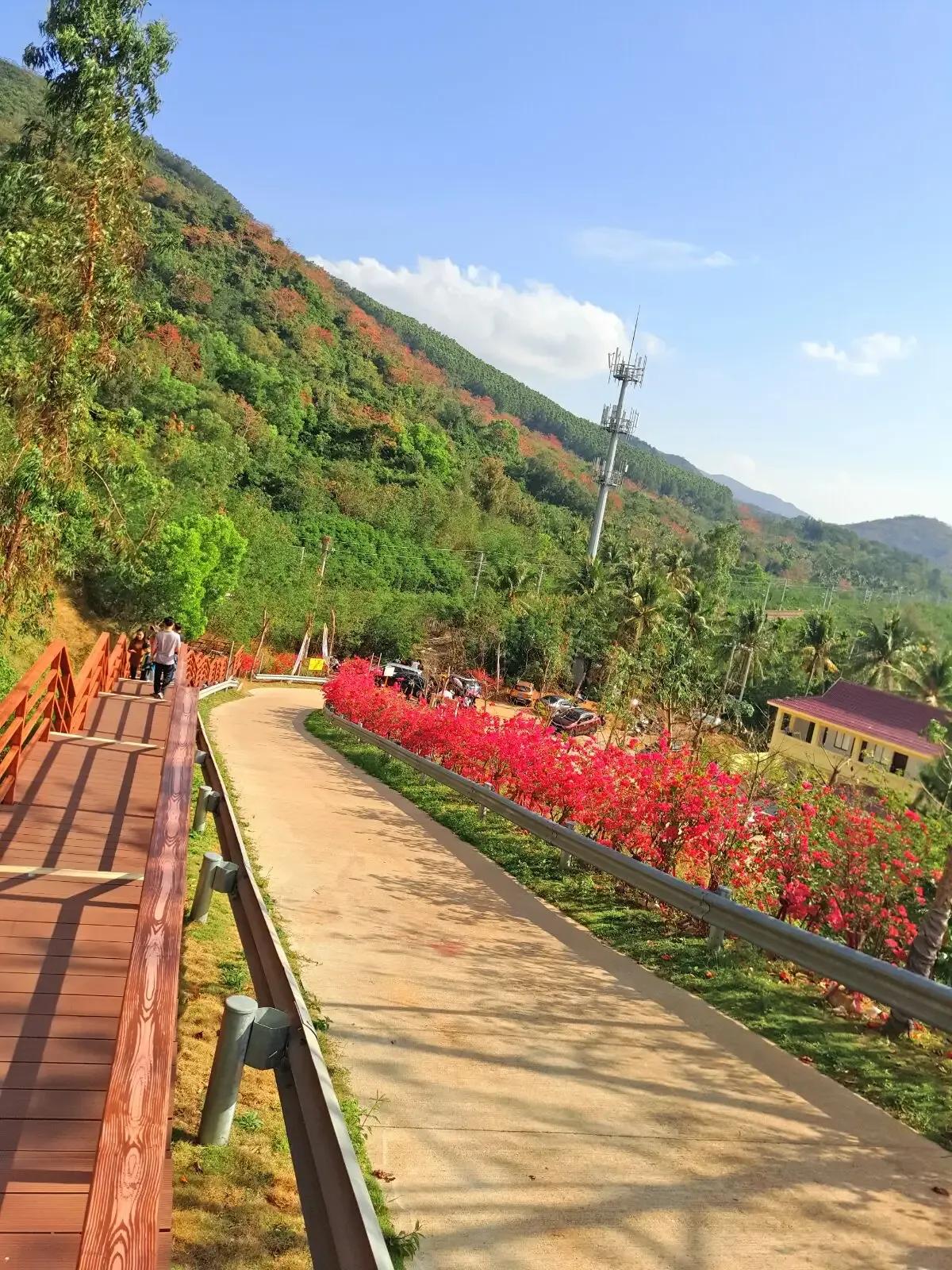 陵水的这些小众景点你会选哪个呢,海南旅游小众城市陵水哪里