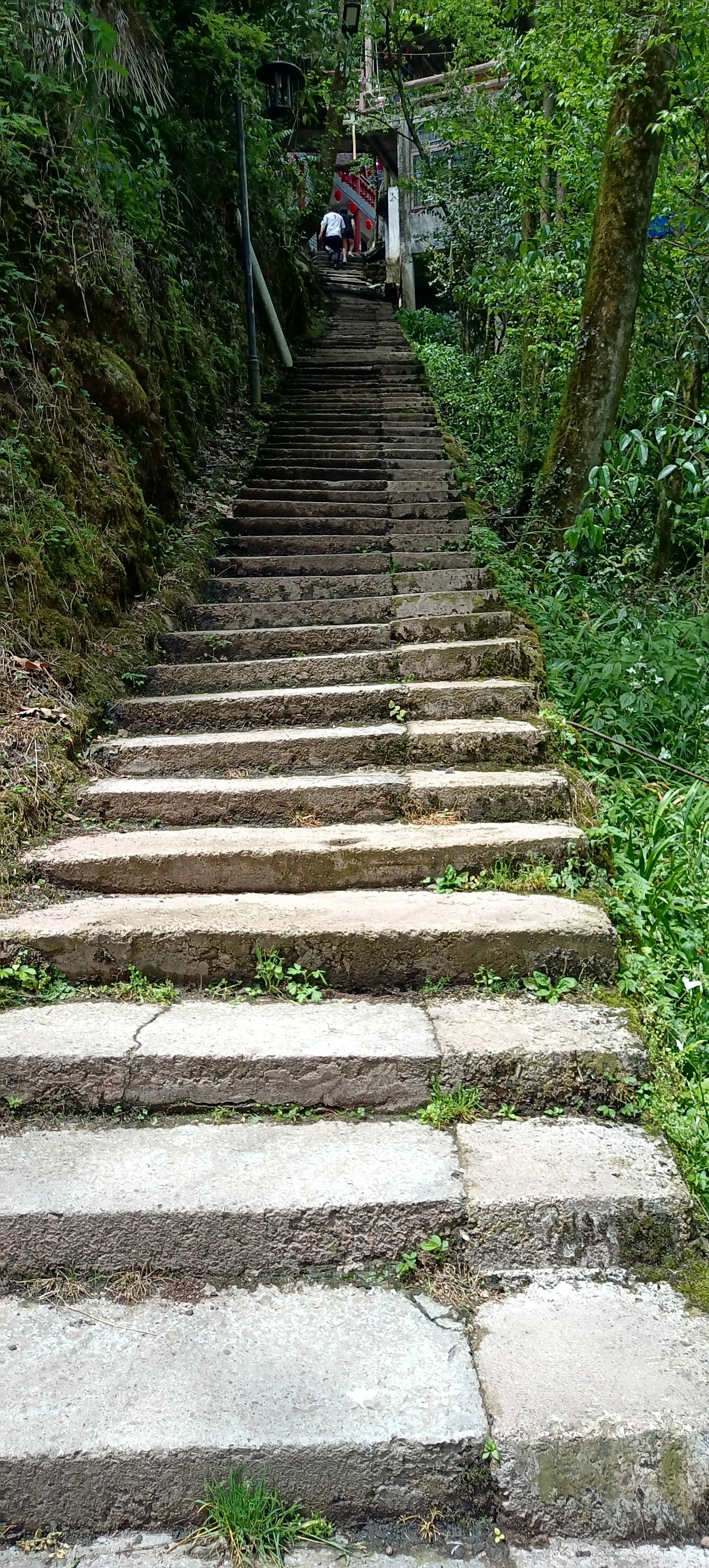 去成都青城山后山攻略,青城后山成都攻略