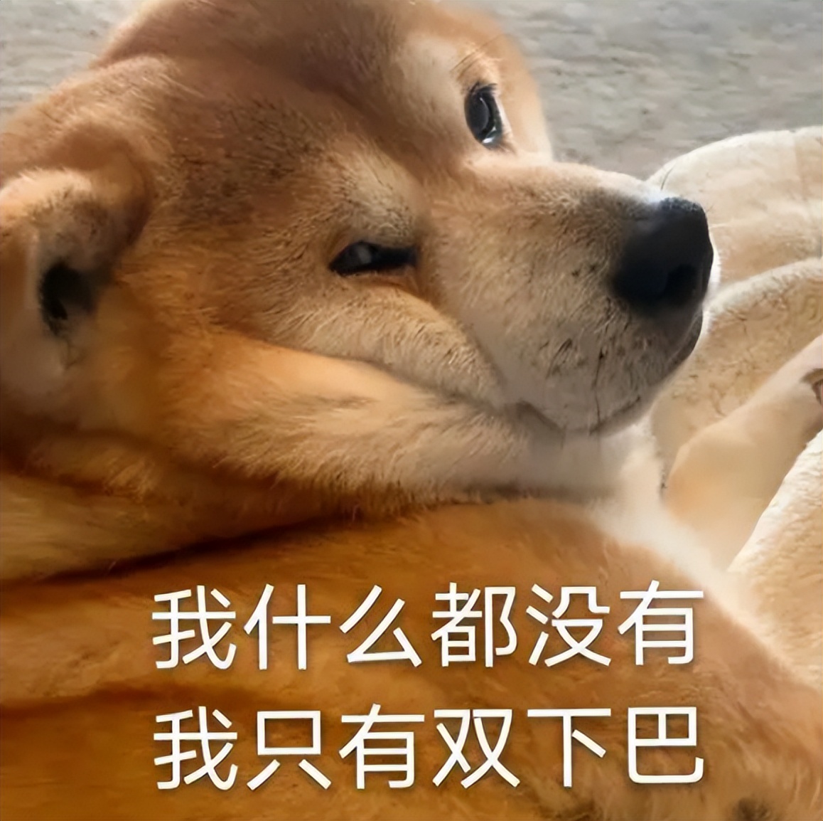 艺人是很不辛苦的职业,艺人确实是个不怎么讨喜的职业