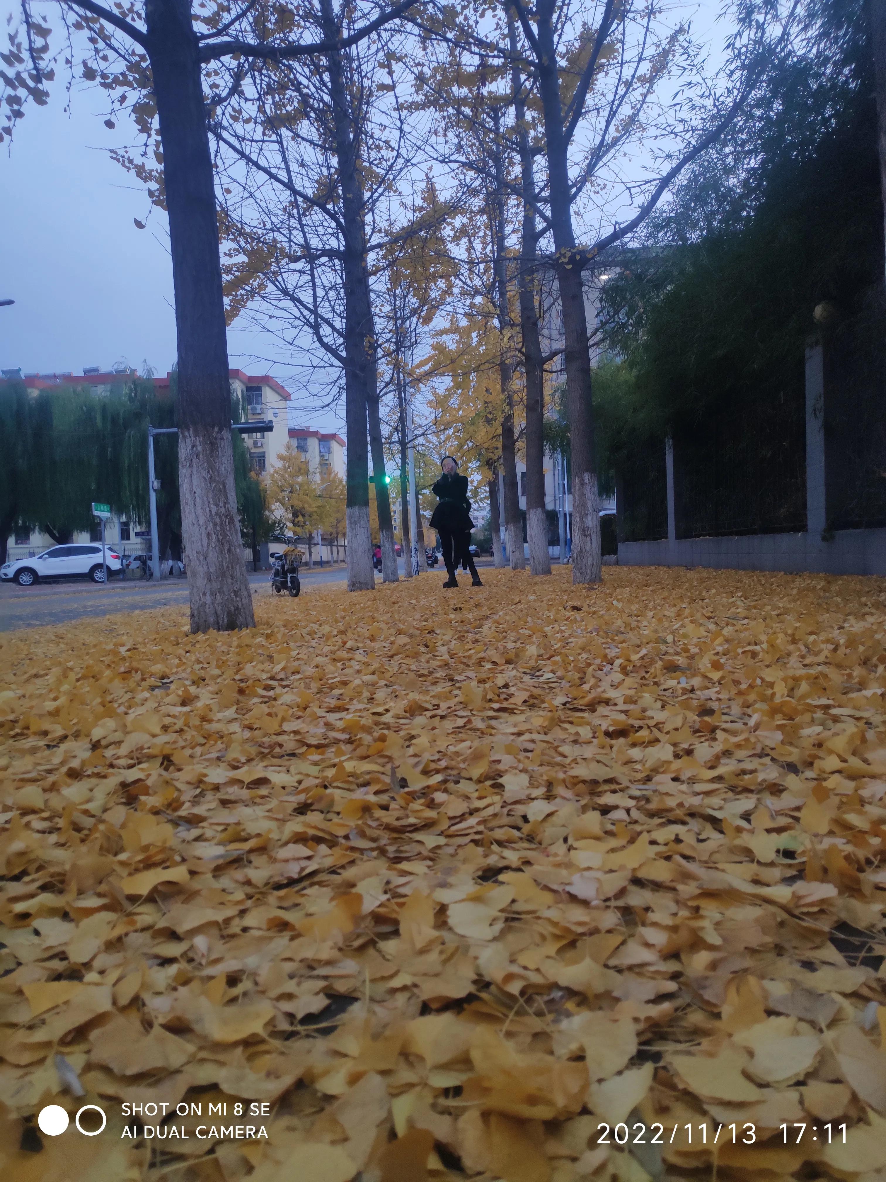 解封帖,解封记录怎么查