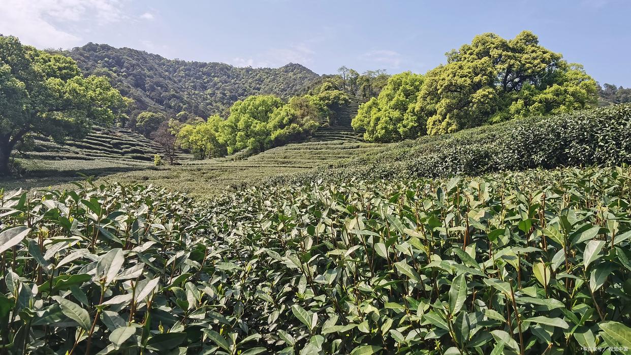 杭州自由行3-4天攻略,杭州自由行2天攻略