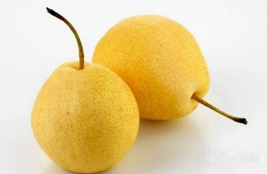 梨是百果之王吗,百果之宗—梨