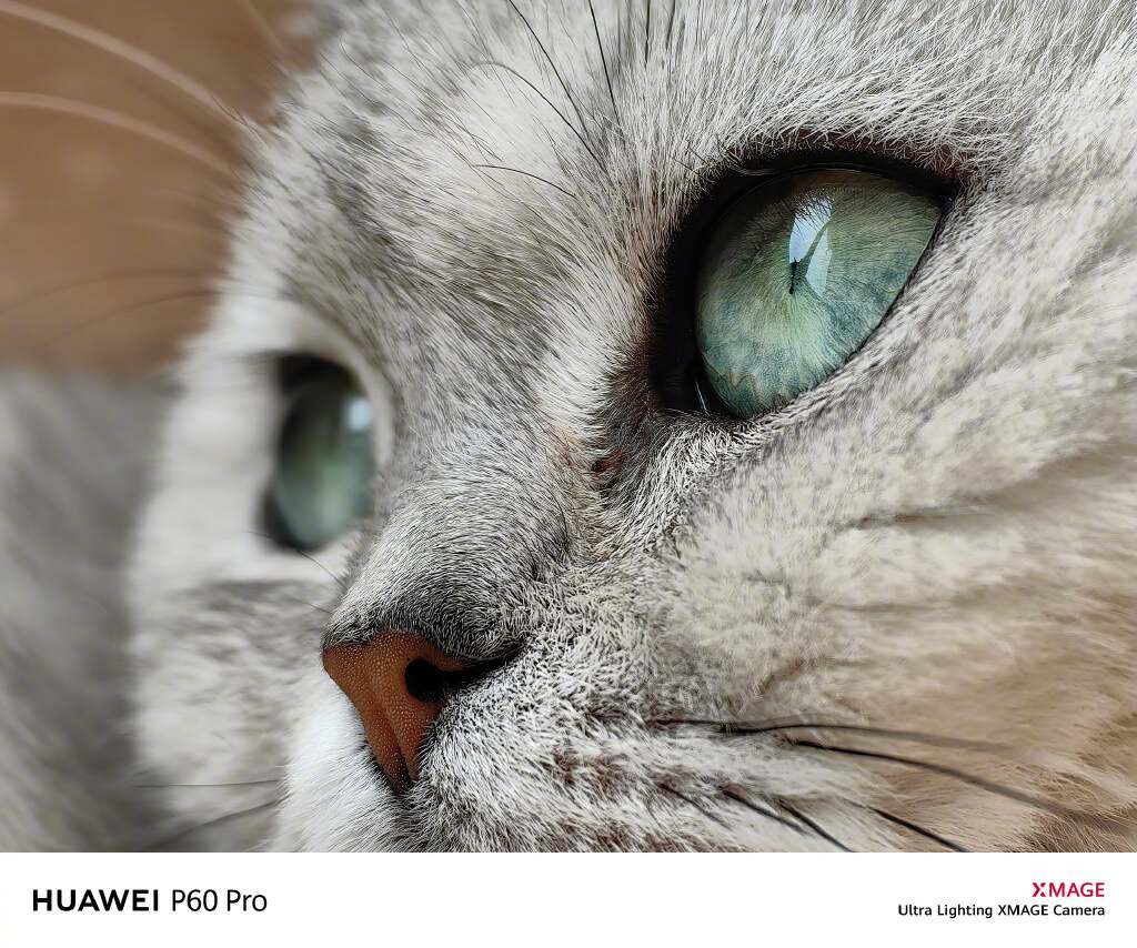 华为p60系列大礼包,华为p60pro钱包添加八达通