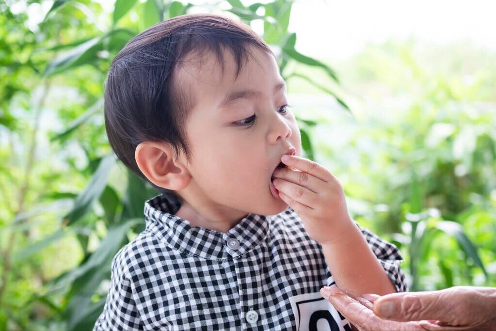 零食放桌上随便吃，孩子却不乱吃，就因为我立了个“规矩”