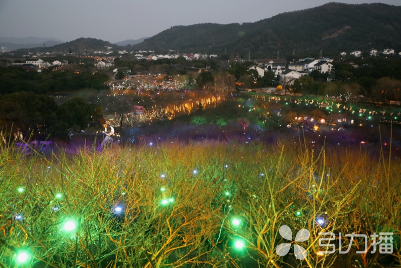 苏州人最钟情的赏梅圣地开花啦,中国赏梅好去处苏州赏梅花