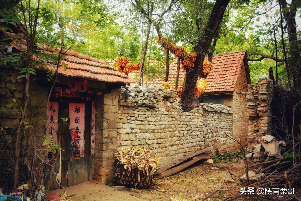 门前树不能乱,门前种的树风水好吗