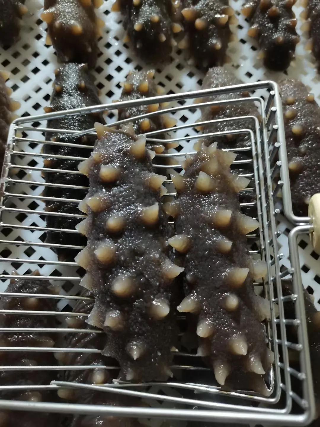 最便宜的海参骗局,便宜海参骗局