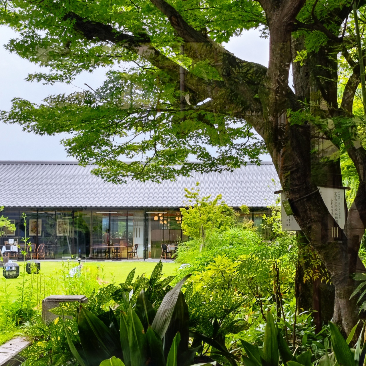京都旅游住宿排行榜,京都人的私房雅趣全集