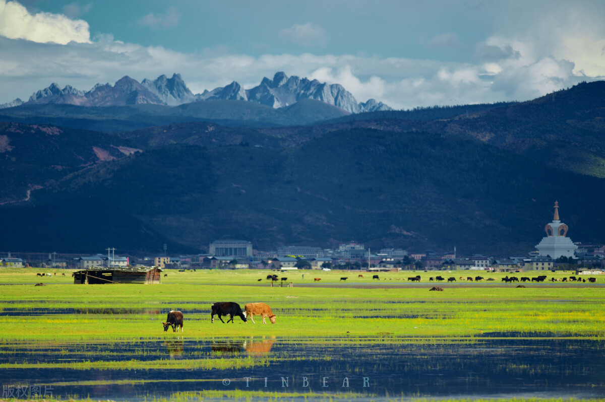 前列腺尿频尿不尽怎么治,前列腺为什么会尿频尿不尽