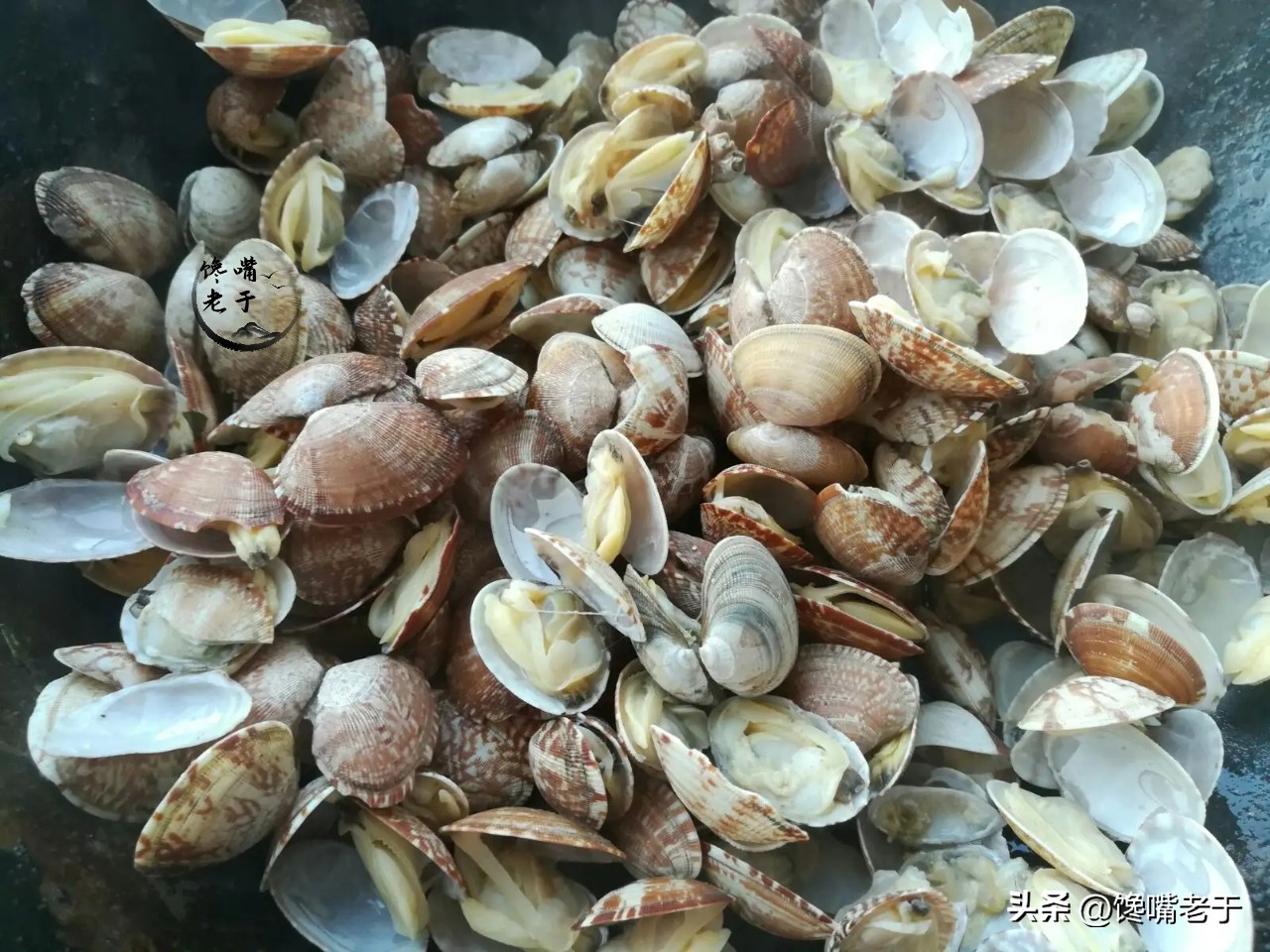 不要在乎价格,不要在乎旅游多少钱