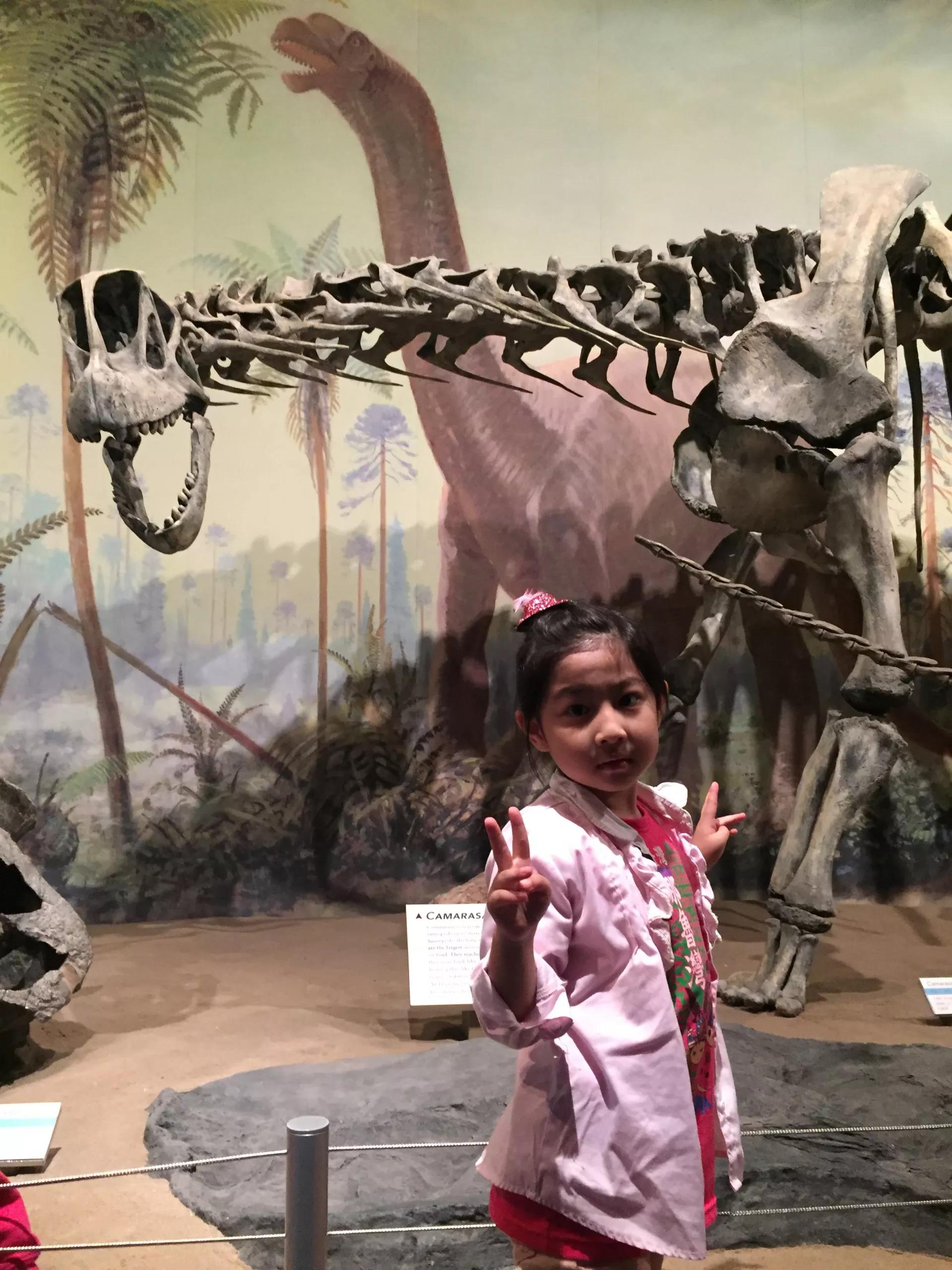 青岛如何带上猫猫去加拿大多伦多,钱猫猫加拿大之旅