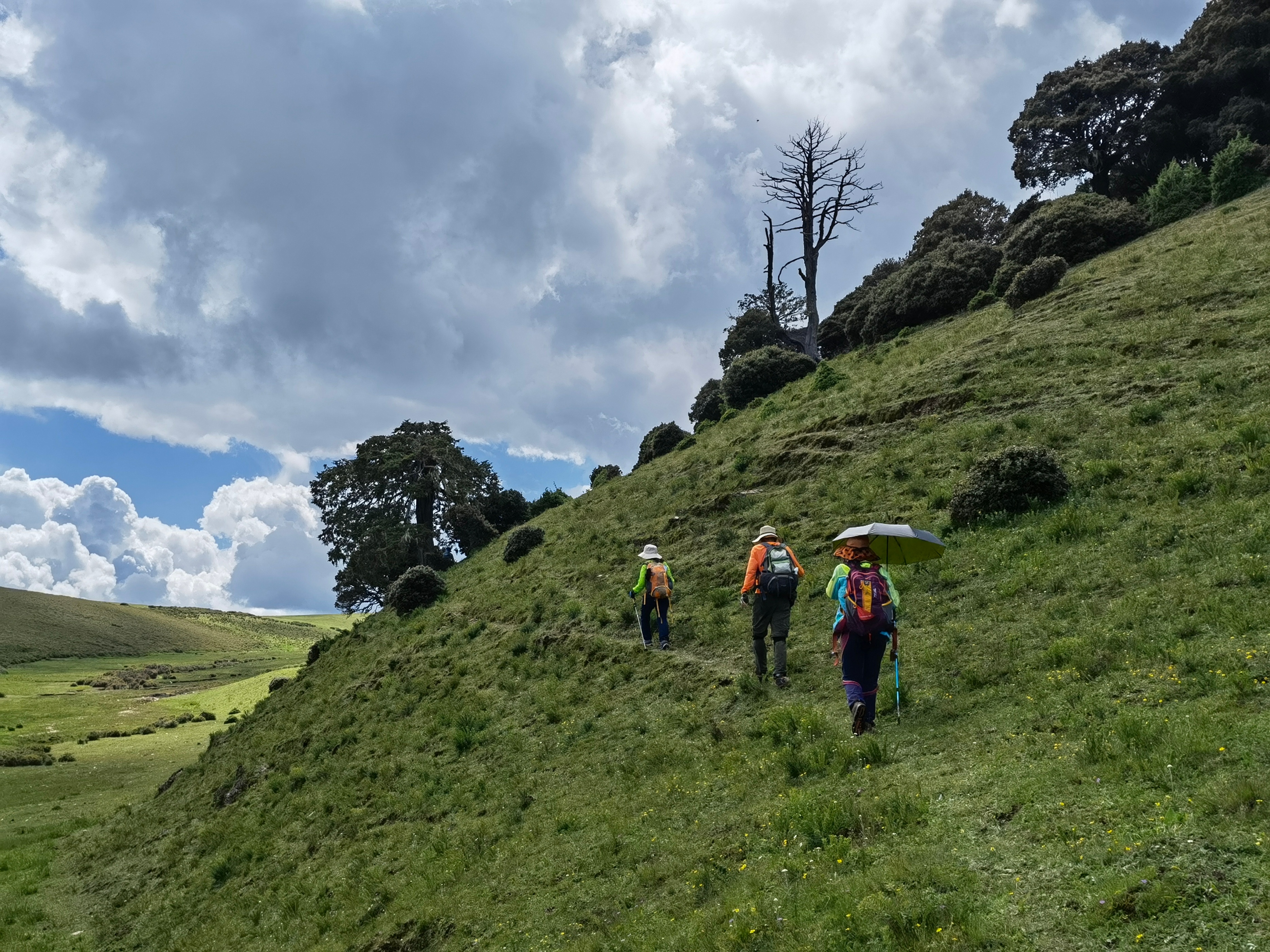 回想格拉丹，举杯对饮金沙石