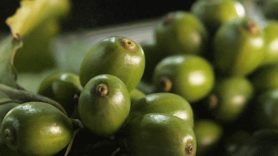 点进来，了解爱上兴隆“歌碧欧”的N个理由～