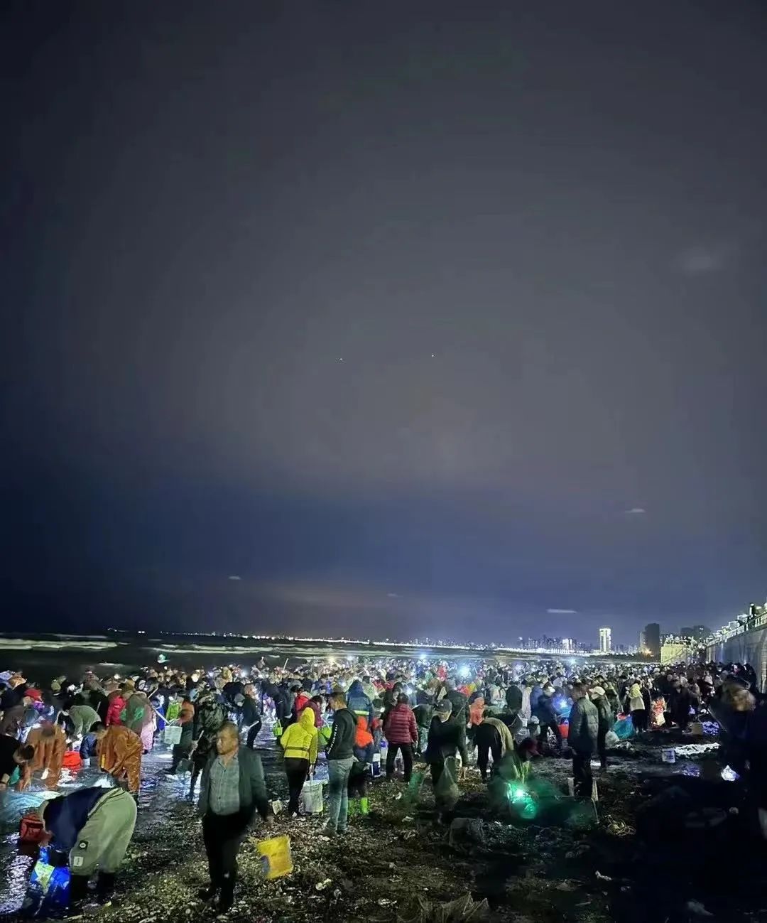 烟台捞海肠赶海,烟台海肠赶海视频