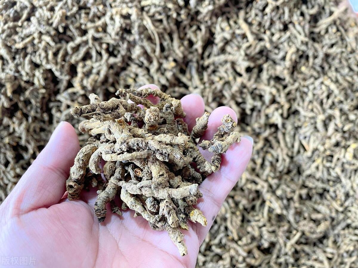 我偶然发现它，像这样长痘痘的女生要小心了