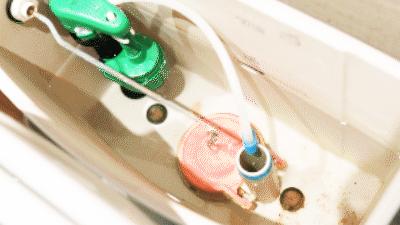 这些国货品牌你还以为是外国的吗,这些假洋牌你还在买吗