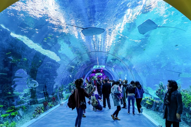 上海旅游必去十大景点,上海古镇十大必去景点