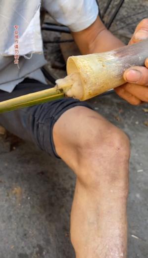 老杨啊：“黑暗料理”狗看了都摇头，却成为全网女人最想嫁的男人