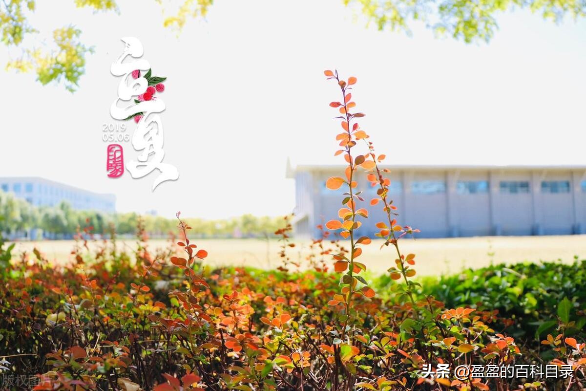 立夏第一天注意什么,立夏后注意事项与养生