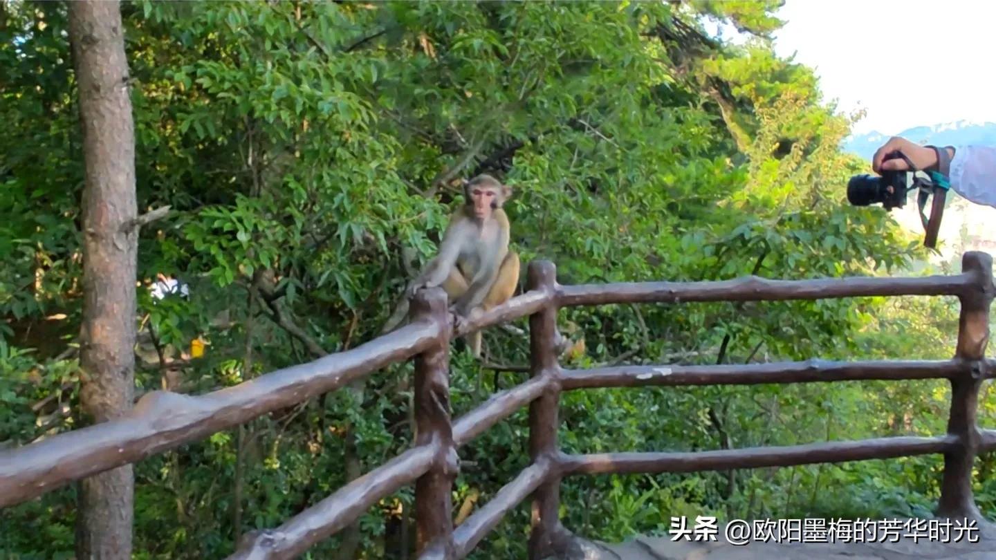 张家界自由行深度游全攻略,张家界亲子自驾游详细攻略