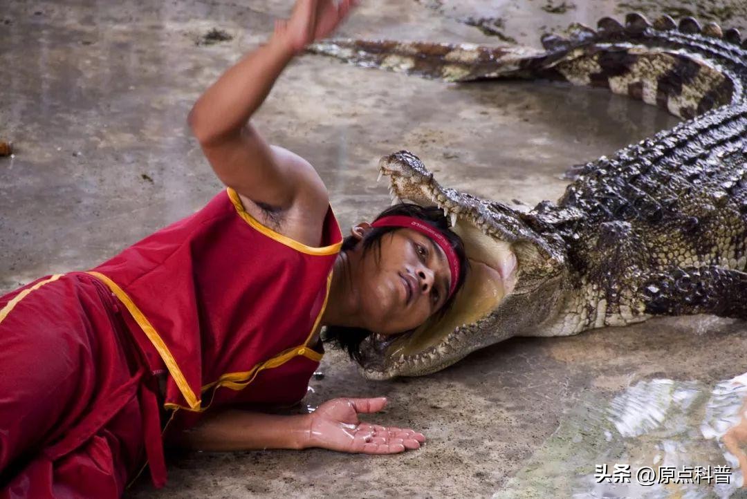 十大不起眼的赚钱行业排行榜最新,小县城利润最高的不起眼行业赚钱