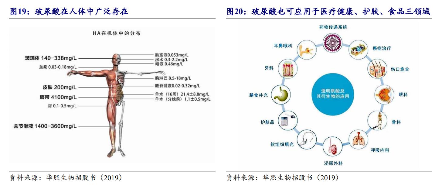 鑳跺師铔嬬櫧鍥藉唴宸蹭笂甯傜殑鍏,鑳跺師铔嬬櫧鑳藉惁鎴愪负璺ㄨ秺鍛ㄦ湡鍘熸枡