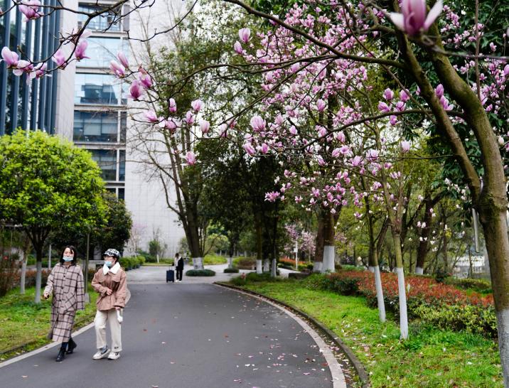 凭初中学历54岁保安写出40万字小说，被选入“中国当地文学库”！