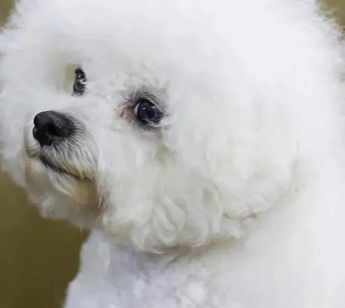 姐俩感情好,姐俩感情深