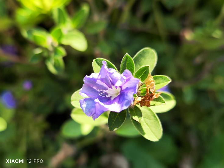 小米手机全面对标苹果,小米最新和苹果类似的手机