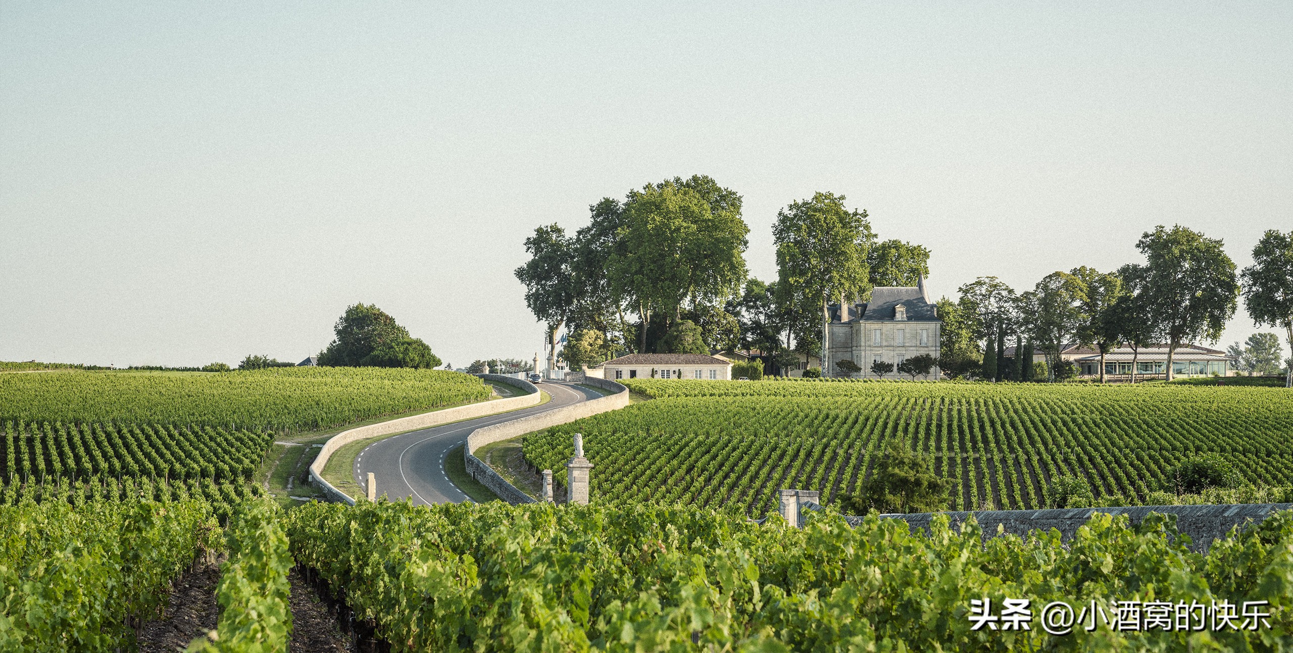 碧尚女爵酒庄照片,法国与波尔多齐名酒庄